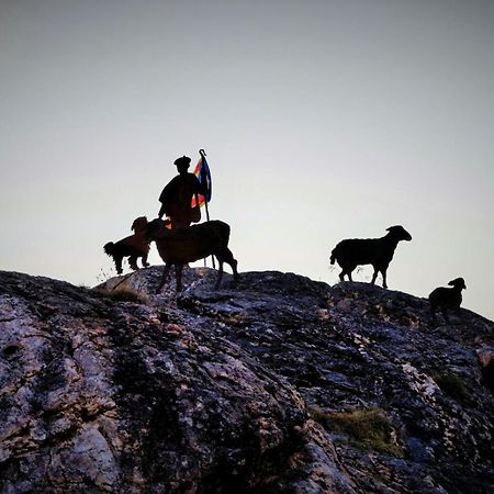 Sisquet Apartaments Erill la Vall Buitenkant foto